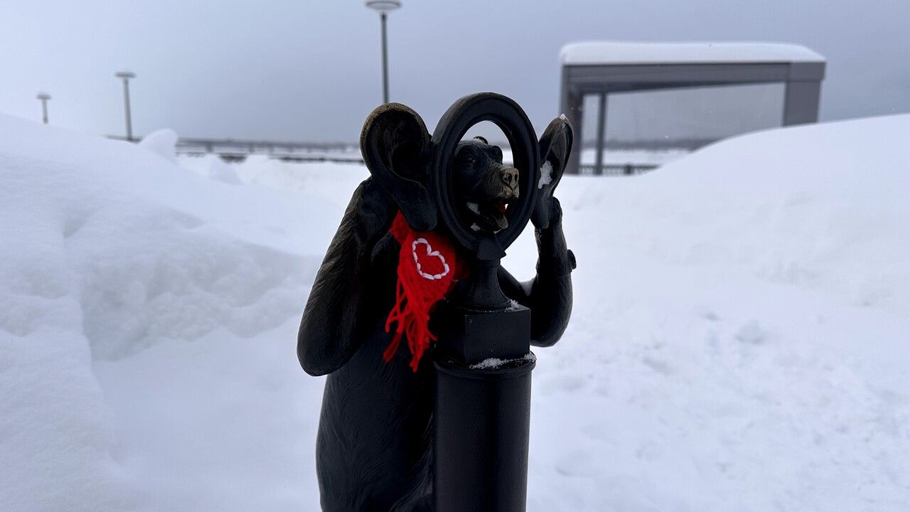 ​15 февраля Пермь окрасится в красный цвет, чтобы поддержать детей, борющихся с онкологией