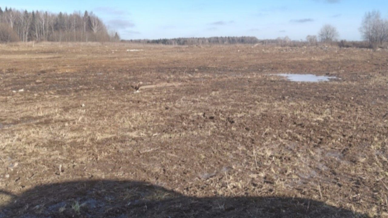 ​В Бардымском округе ликвидировали несанкционированную свалку на сельхозземлях