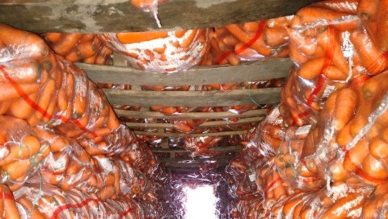 ​В 2026 году в Прикамье из Киргизии завезли 143 тонны моркови