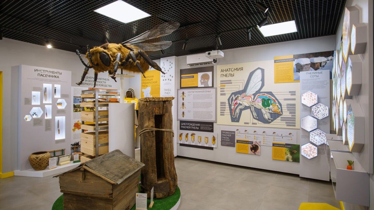 О чем расскажут в музее меда и что покажут в кунгурском ТЮЗе
