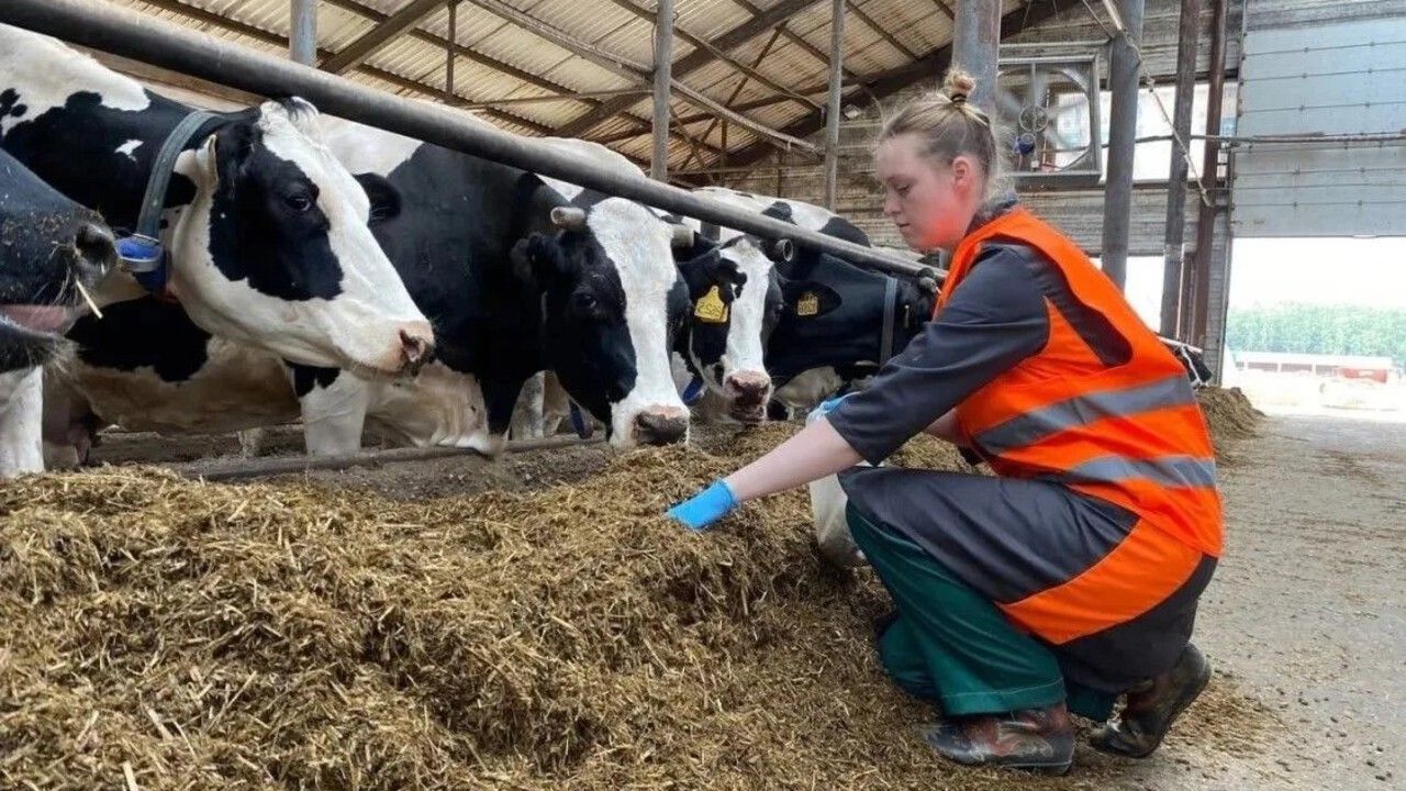 ​В Прикамье расширили льготный лизинг для переработчиков сельхозпродукции  