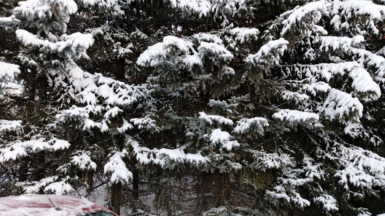 Прикамье настиг сильный снегопад