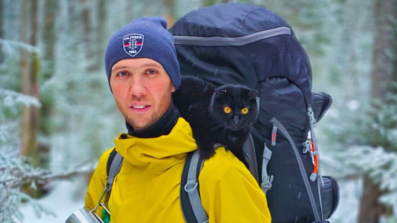 ​Пермская обувная фабрика представила трекинговые ботинки, посвященные кошке-путешественнице