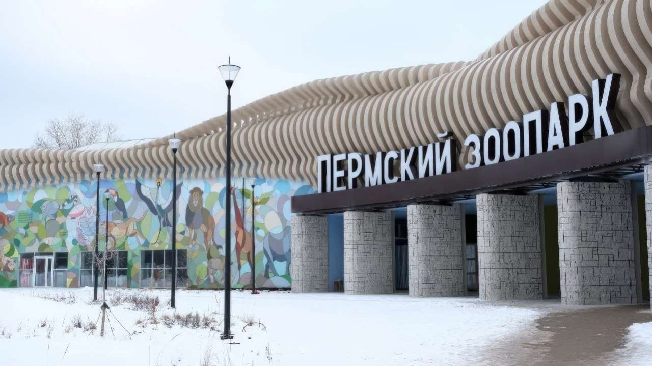 В ближайшие две недели в новый пермский зоопарк перевезут тропических птиц