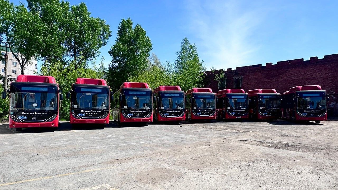 48 новых автобусов покоряют дороги Прикамья: комфорт для пассажиров