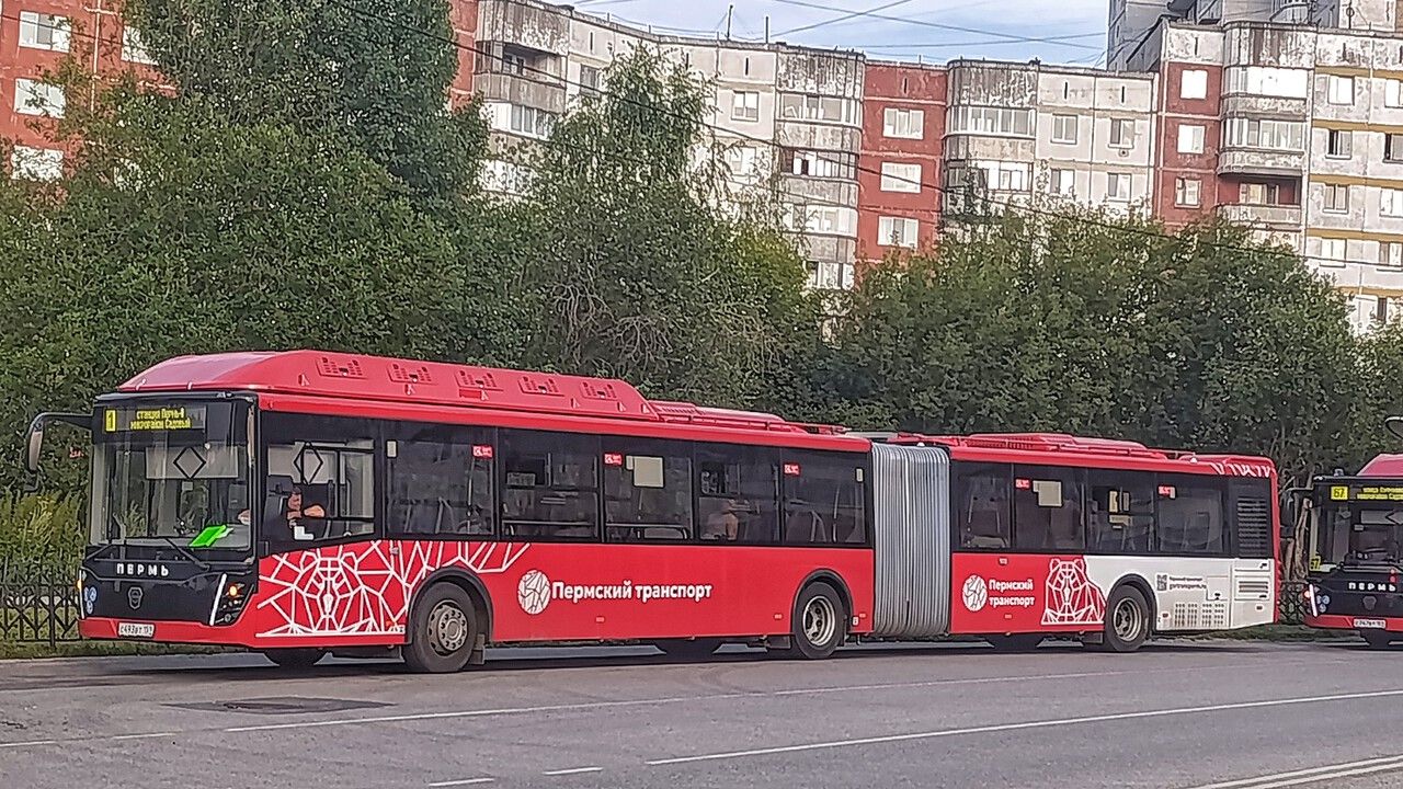 Пермь оказалась в тройке лидеров по количеству автобусов особо большого класса