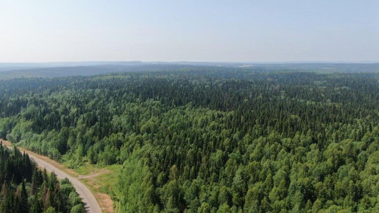 В Прикамье поддержат две сельских территории в федеральной программе