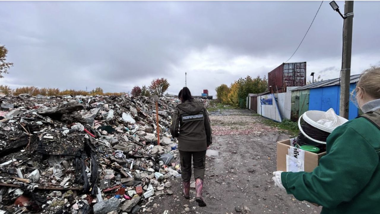 ​«Вредные вещества из отходов попадают к нам на стол»: строительные свалки площадью более 12 тысяч квадратных метров обнаружили в Перми