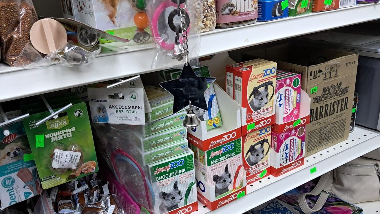 ​В Кудымкаре предпринимателя оштрафовали за продажу ветеринарных препаратов без лицензии