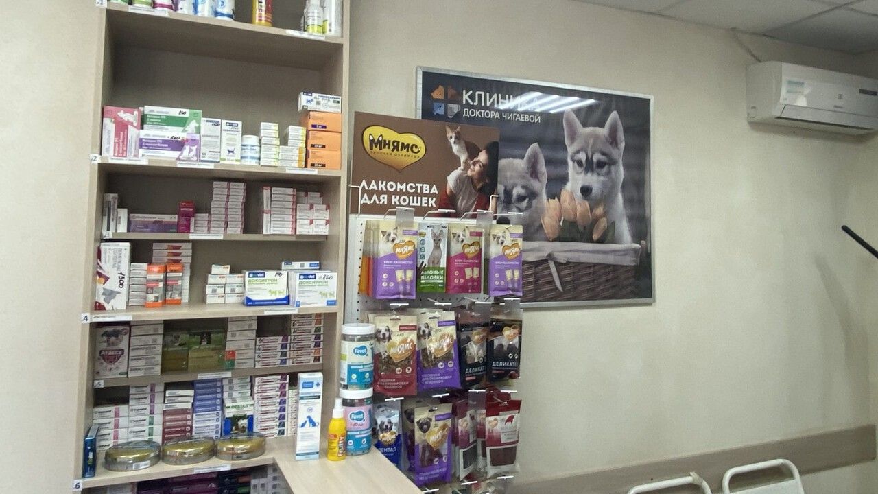 ​Пермский предприниматель привлечен к ответственности за нарушение правил хранения и отпуска ветеринарных лекарств