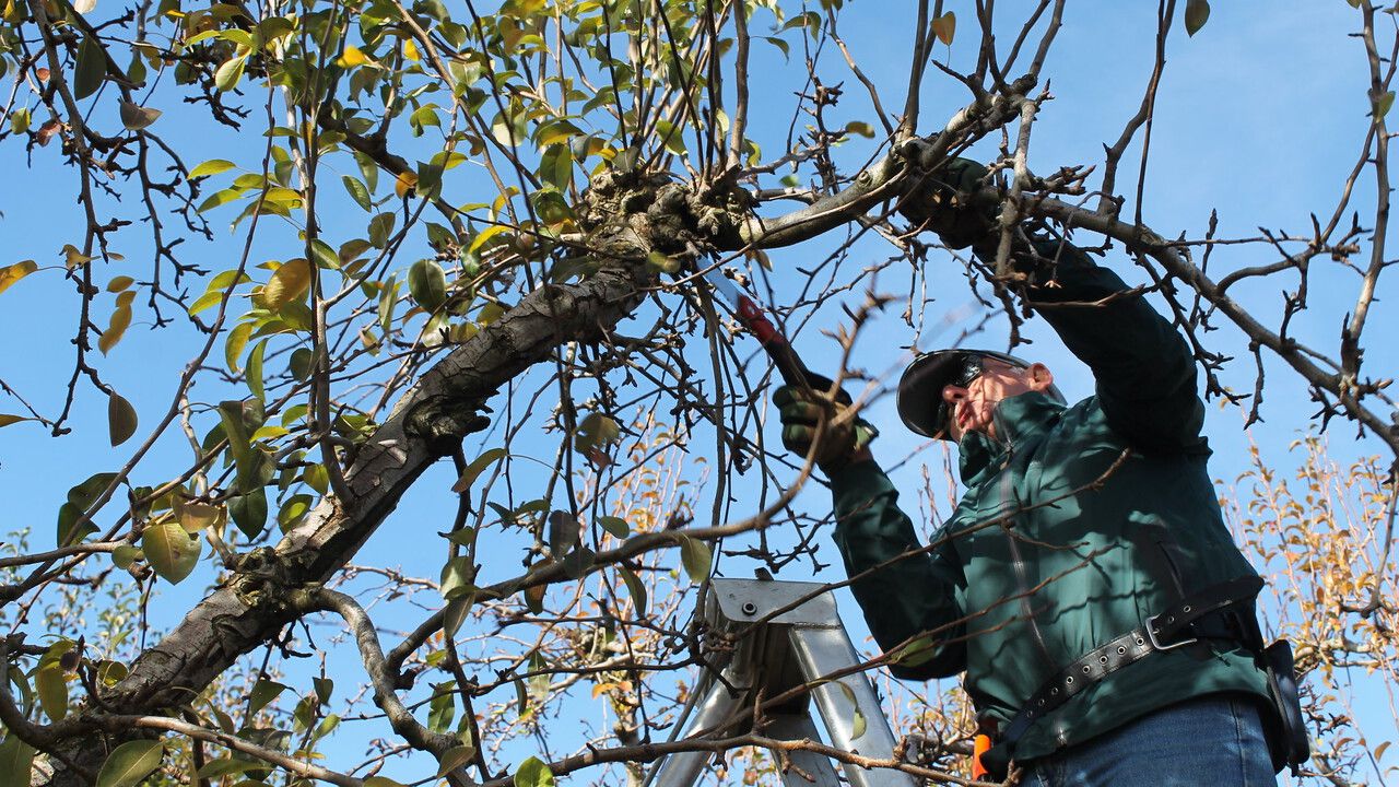 Рассказываем, какие работы ждут садоводов в сентябре