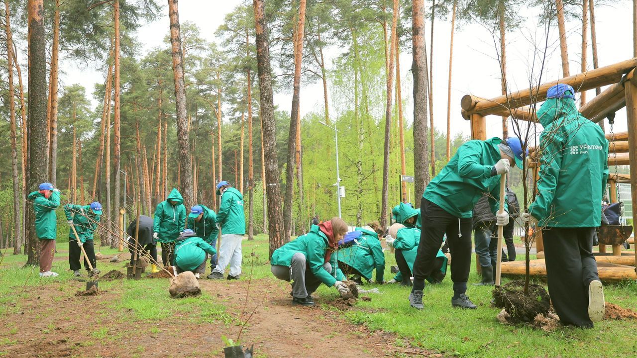 В Черняевском лесу Перми высажено 100 цветущих деревьев