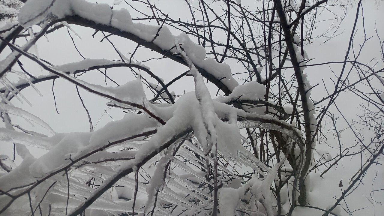 В Пермском крае 8 декабря прогнозируются опасные метеоусловия