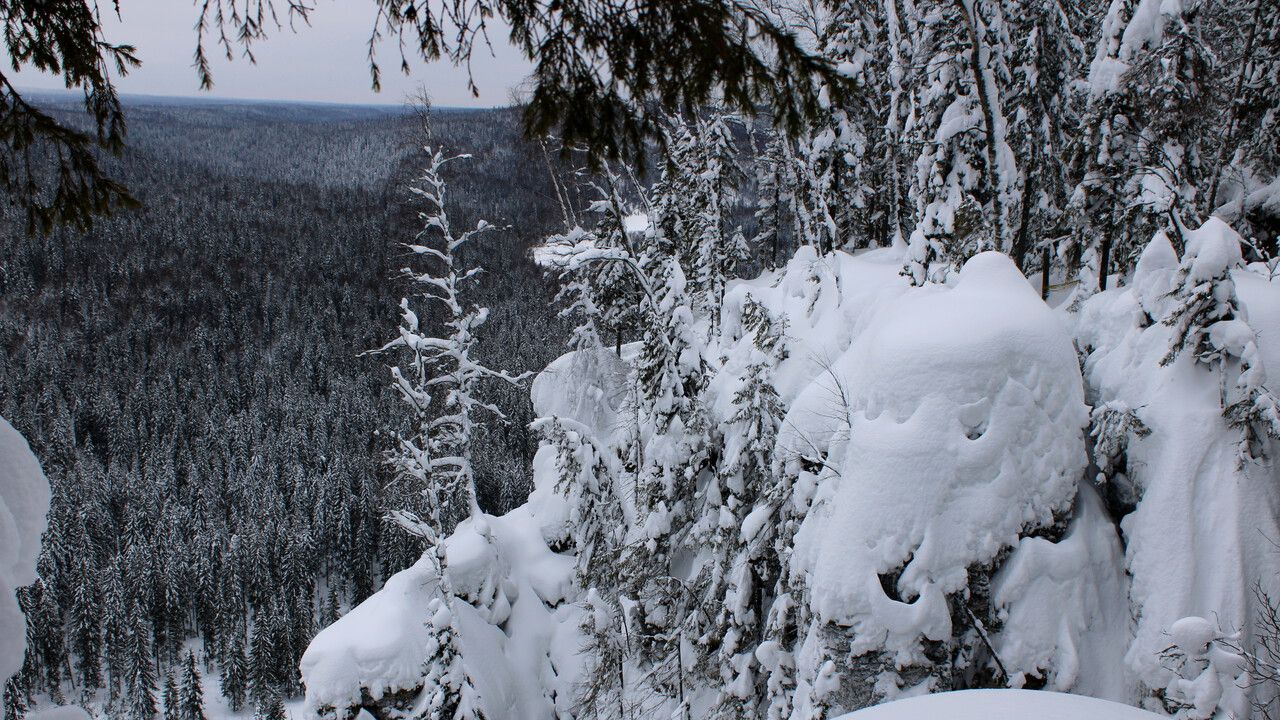 35 градусов мороза ожидается в Прикамье в выходные 