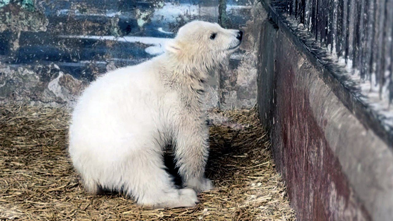 Фото: Telegram-канал Дмитрия Махонина 