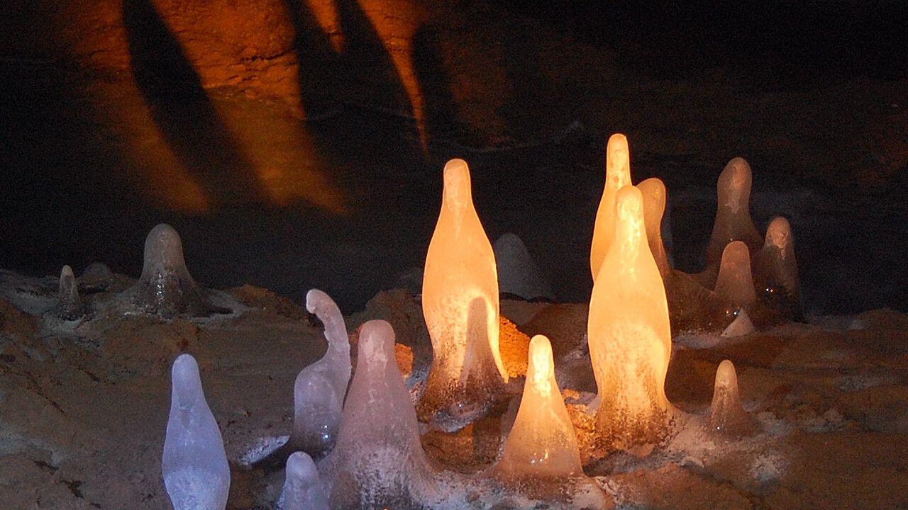 ​Дирекция ООПТ Пермского края станет правообладателем Мечкинской пещеры