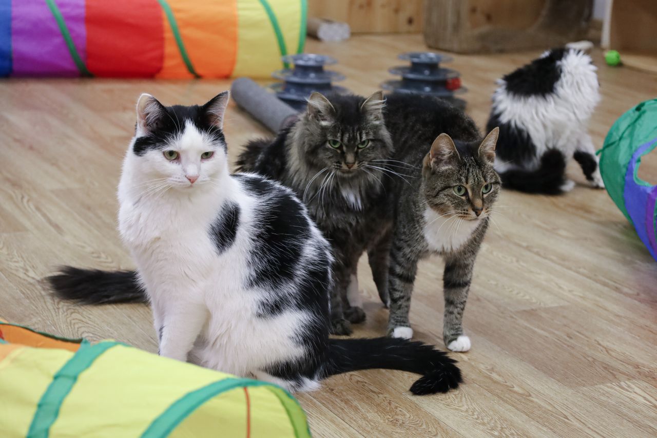 Фото: Елена Майорова