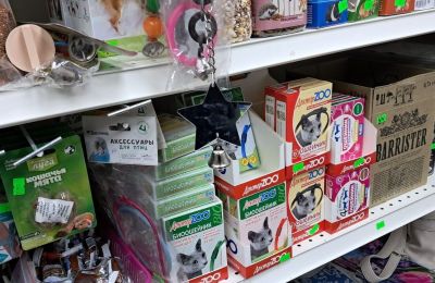 ​В Кудымкаре предпринимателя оштрафовали за продажу ветеринарных препаратов без лицензии