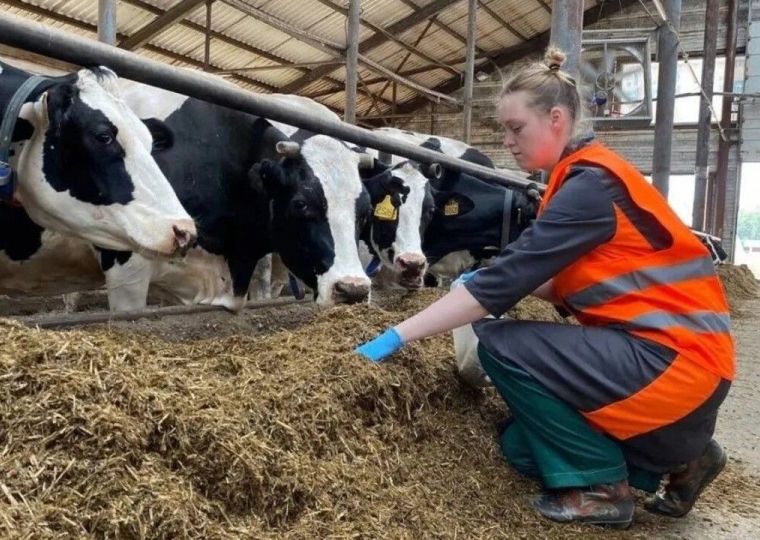 ​В Прикамье расширили льготный лизинг для переработчиков сельхозпродукции  