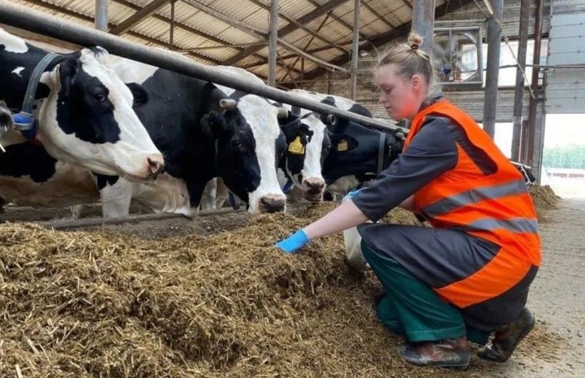 ​В Прикамье расширили льготный лизинг для переработчиков сельхозпродукции  
