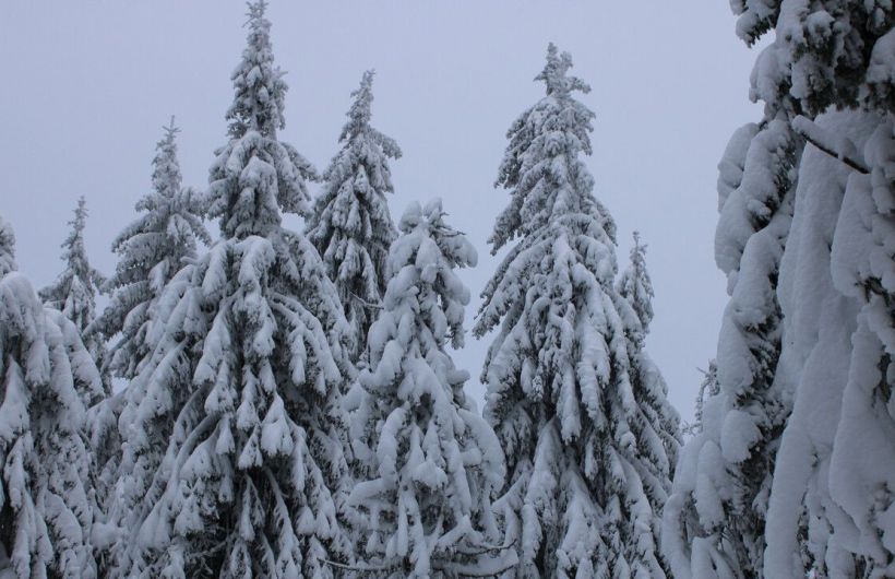 ​В Прикамье с 16 по 20 февраля погода будет динамичной, с чередованием циклонов и антициклонов