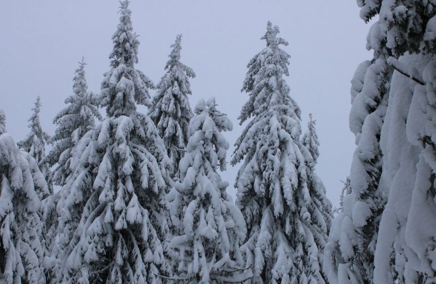​В Прикамье с 16 по 20 февраля погода будет динамичной, с чередованием циклонов и антициклонов