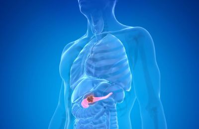 Как помочь поджелудочной железе пережить новогоднее обжорство