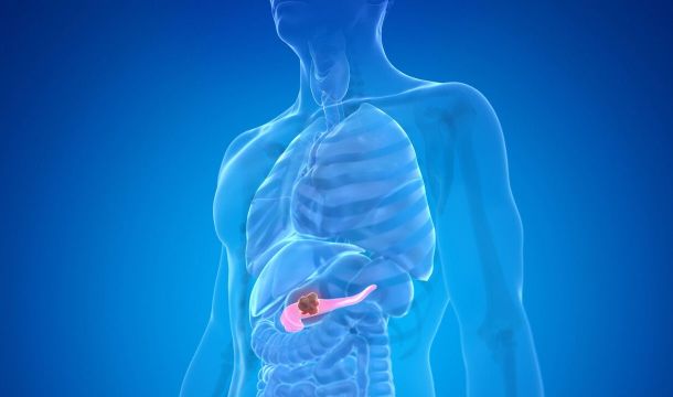 Как помочь поджелудочной железе пережить новогоднее обжорство