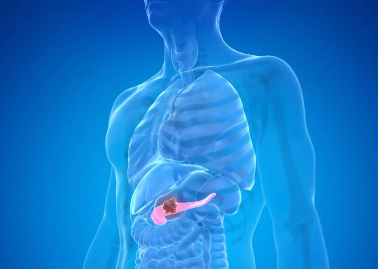 Как помочь поджелудочной железе пережить новогоднее обжорство