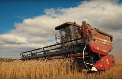 В Прикамье подведены итоги уборочной кампании 2025 года
