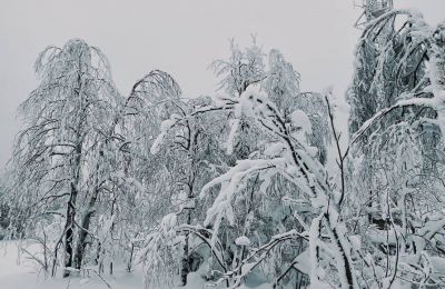 ​Выходные в Прикамье принесут мощные снегопады и кратковременное потепление