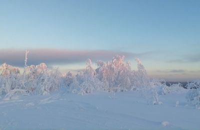 Морозы в Пермском крае продержатся еще сутки