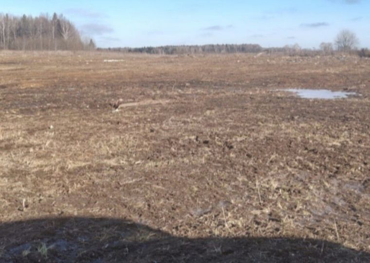 ​В Бардымском округе ликвидировали несанкционированную свалку на сельхозземлях