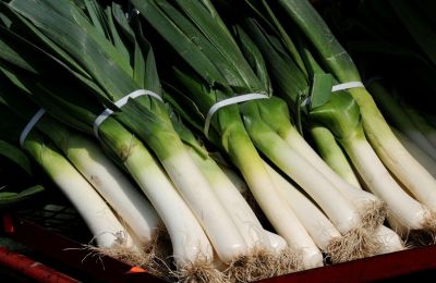 Овощ, который можно есть почти без слез: знакомьтесь — лук-порей