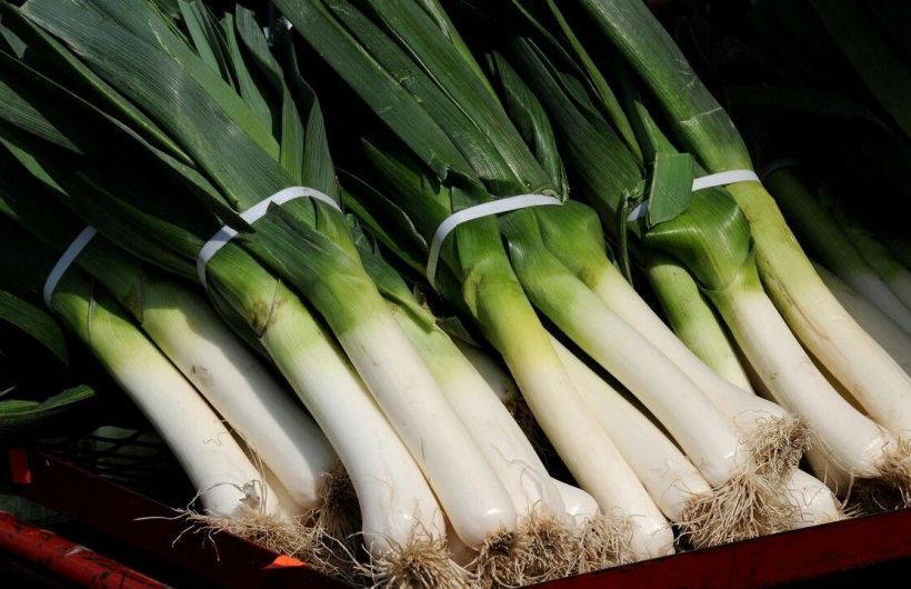 Овощ, который можно есть почти без слез: знакомьтесь — лук-порей