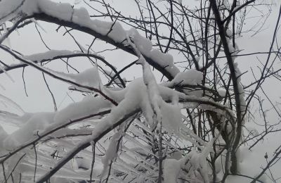 В Пермском крае 8 декабря прогнозируются опасные метеоусловия