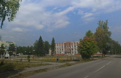 ​В Красновишерске в 2026 году создадут общественный парк с этно-деревней и бревенчатой кофейней