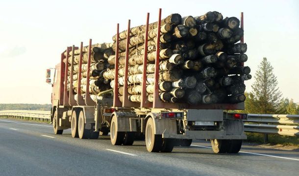 Не спрятаться, не скрыться: нейросеть Пермского края разоблачает грузовики со скрытыми номерами