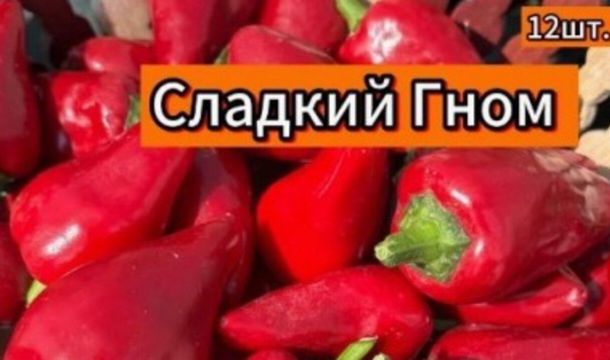 ​Пермский предприниматель на маркетплейсе продавал незарегистрированные сорта томатов и перца