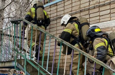 ​В Прикамье впервые в детских садах проведут антитеррористические учения