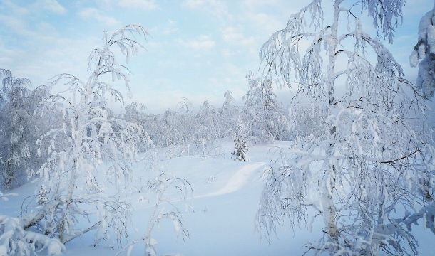 ​Сильный снег и порывистый ветер ожидаются в Пермском крае 8 марта