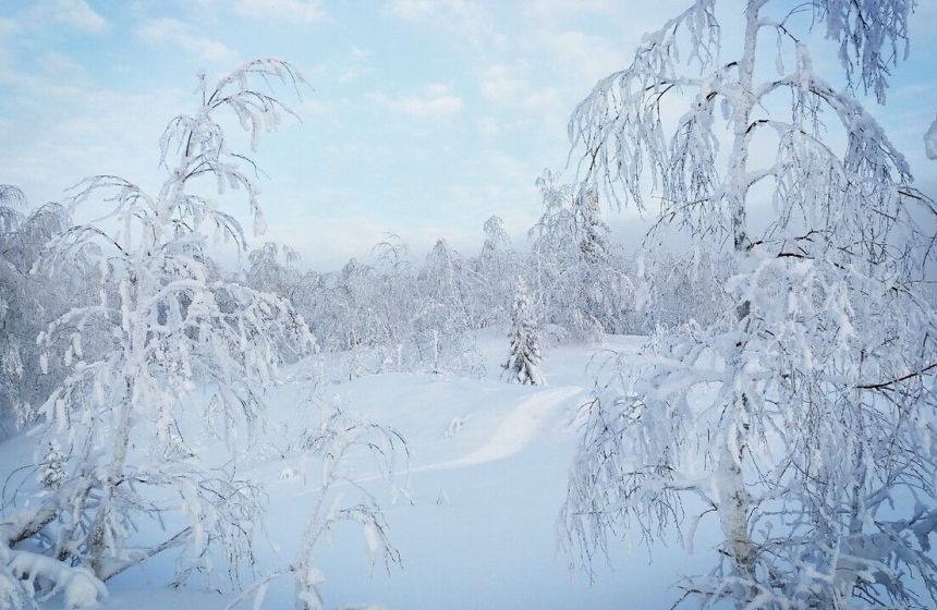 ​Сильный снег и порывистый ветер ожидаются в Пермском крае 8 марта