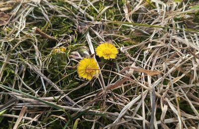 В Перми восьмой раз зафиксирован температурный рекорд