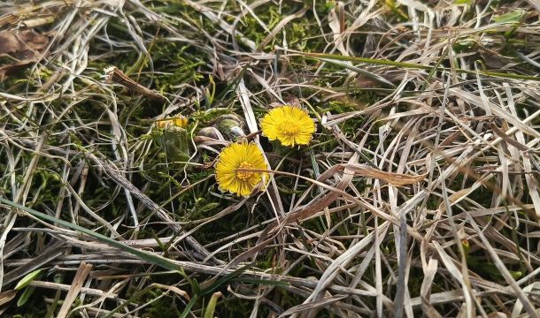 В Перми восьмой раз зафиксирован температурный рекорд