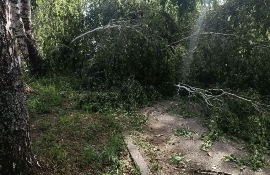Более 80 процентов прикамцев вернули электроснабжение после урагана