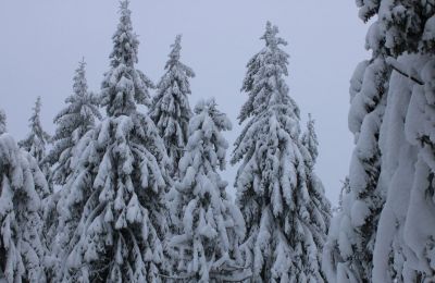 В Прикамье в выходные похолодает до -32 градусов