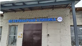 Арбитражный суд Пермского края оштрафовал ветклинику за продажу лекарств без лицензии