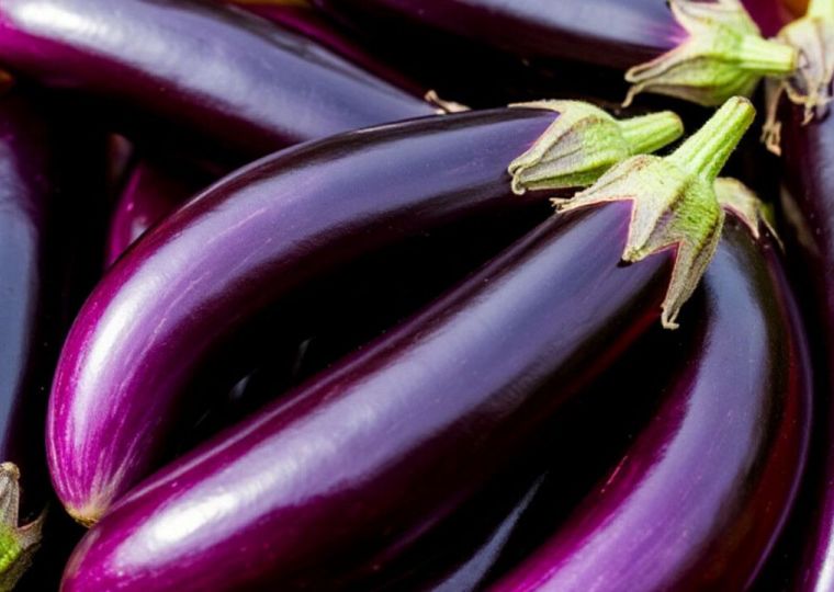 ​81 тонна баклажанов из Китая поступила в Пермский край в 2025 году