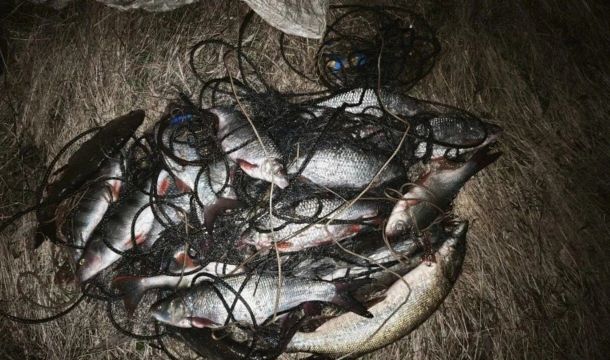 ​Рыбалка в запретной зоне на Каме обернулась для мужчины уголовным делом