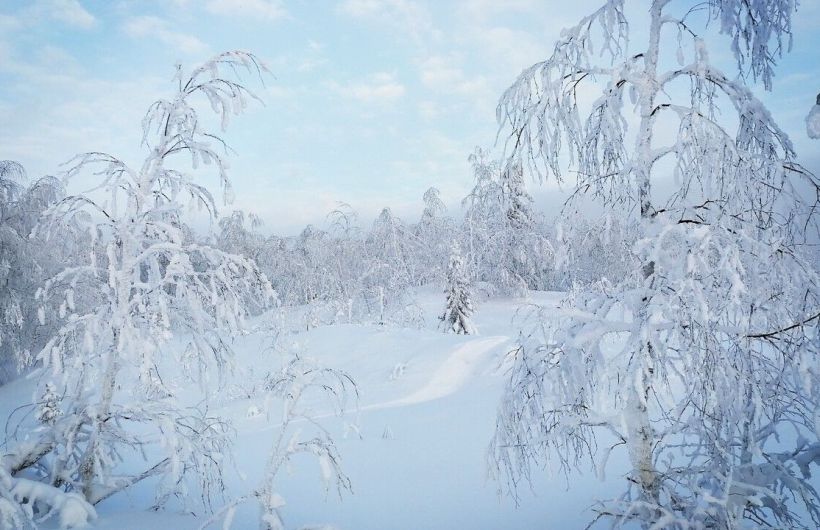 В Прикамье ожидается потепление